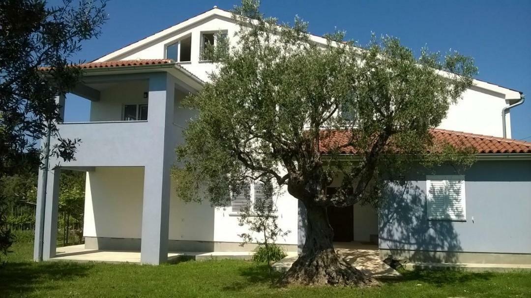 Apartments Villa Ulivo - Apartment Sol Fažana Zewnętrze zdjęcie
